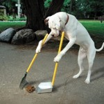 Dog-Cleaning-Poop