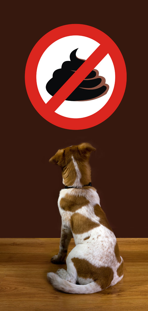 dog-says-no-poop